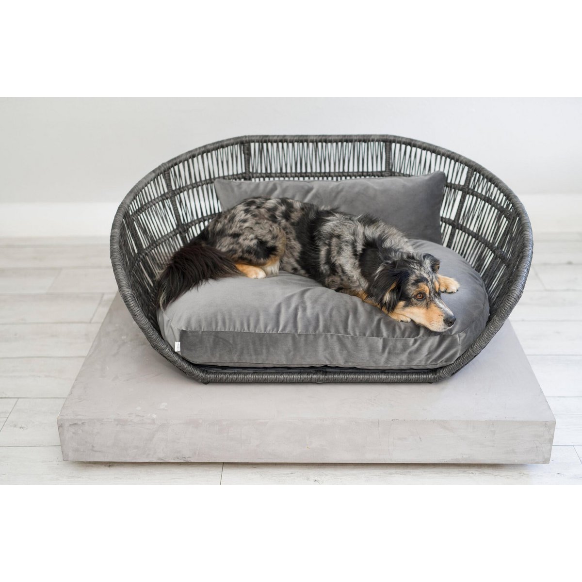 PRADO - Design - Hundebett OXFORD - Tiny Paws Boutique