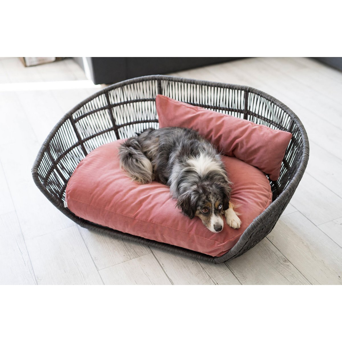 PRADO - Design - Hundebett OXFORD - Tiny Paws Boutique