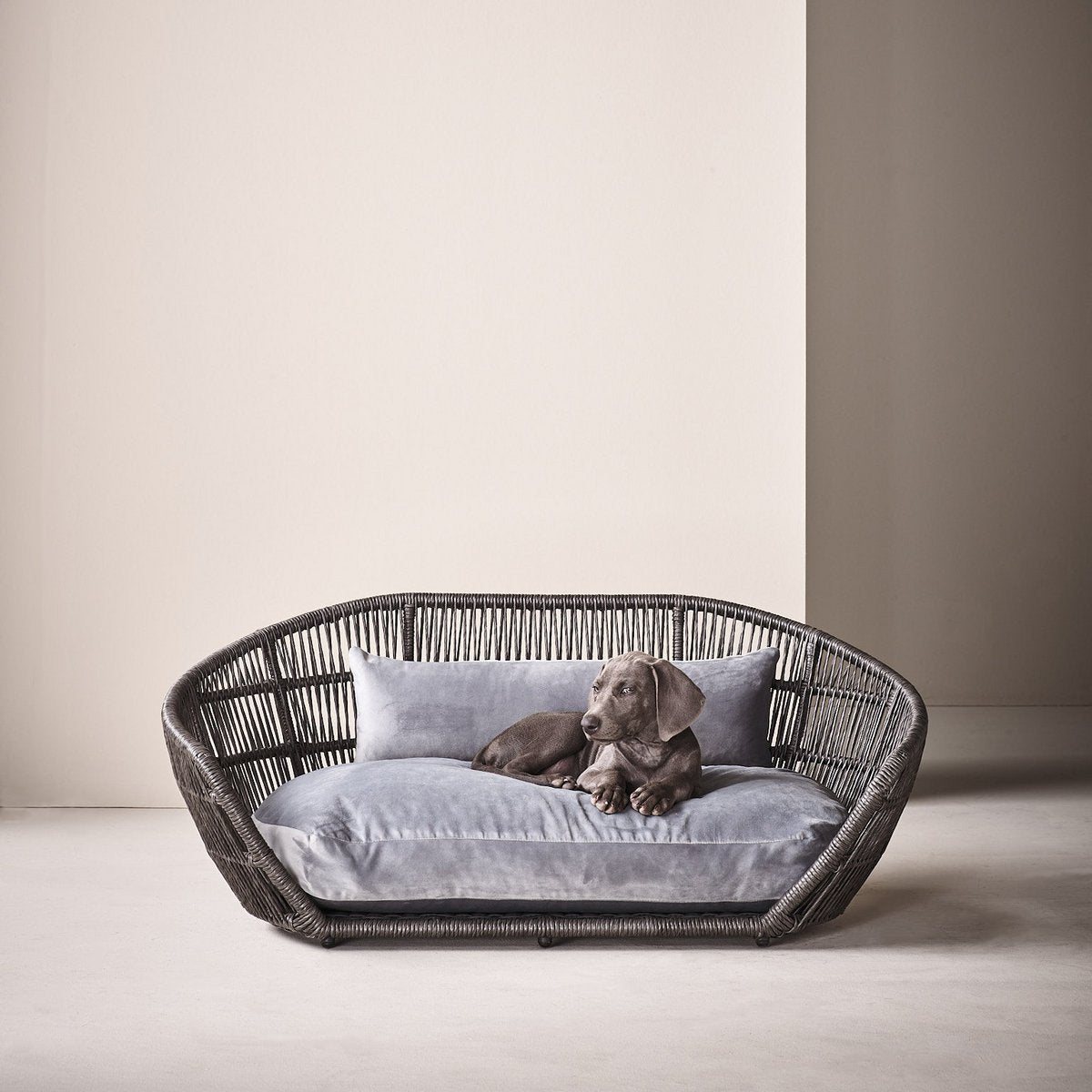 PRADO - Design - Hundebett OXFORD - Tiny Paws Boutique