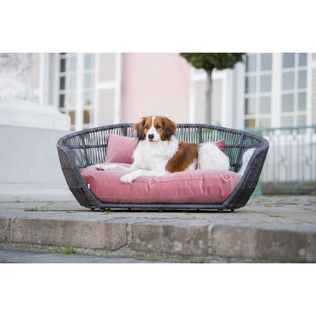 PRADO - Design - Hundebett OXFORD - Tiny Paws Boutique