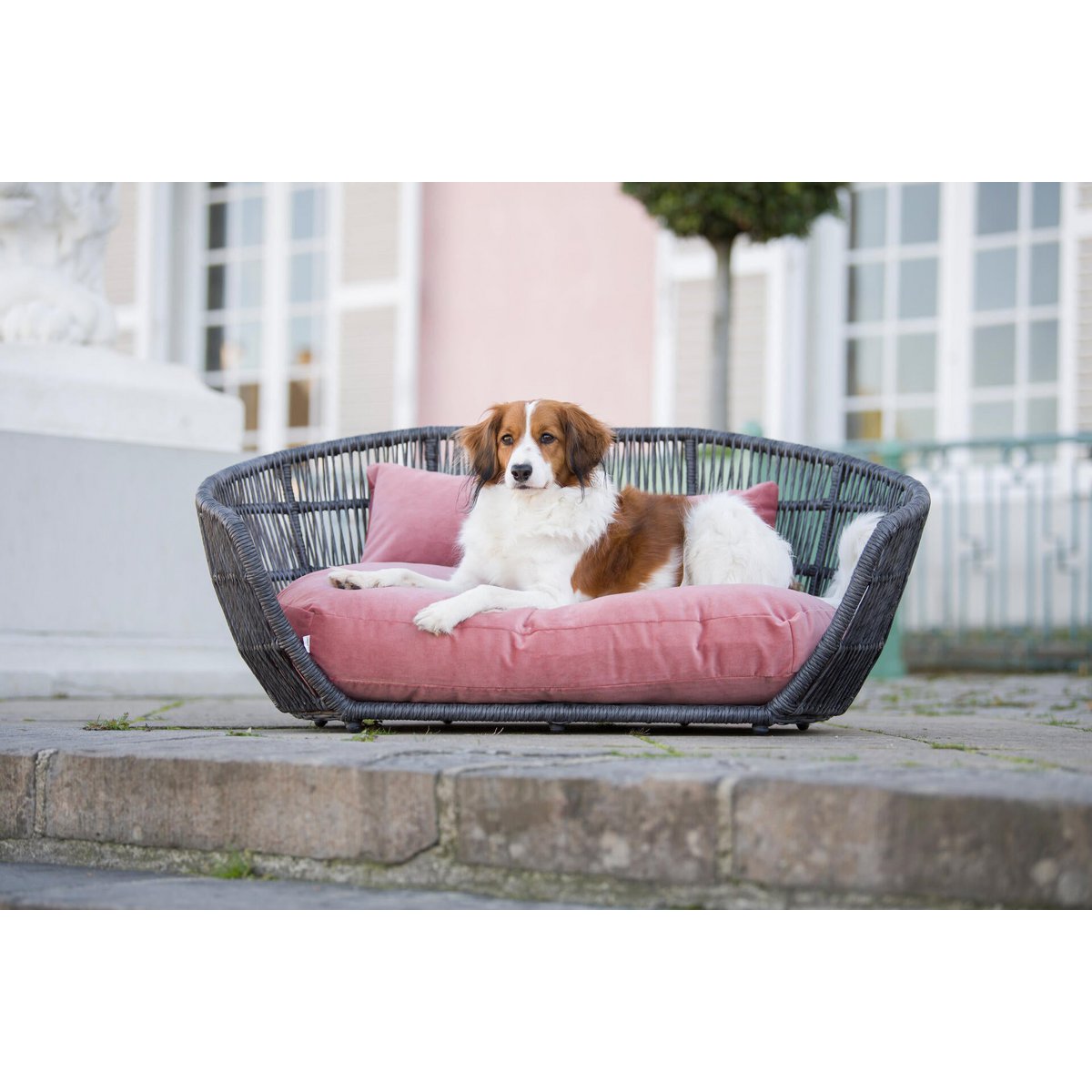 PRADO - Design - Hundebett OXFORD - Tiny Paws Boutique