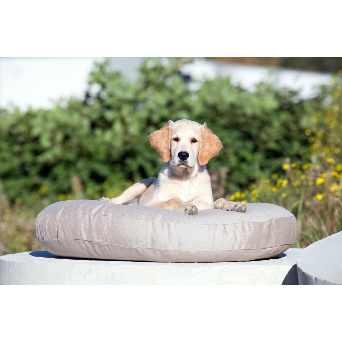 PRADO - Design - Hundebett SMOOTH - Tiny Paws Boutique