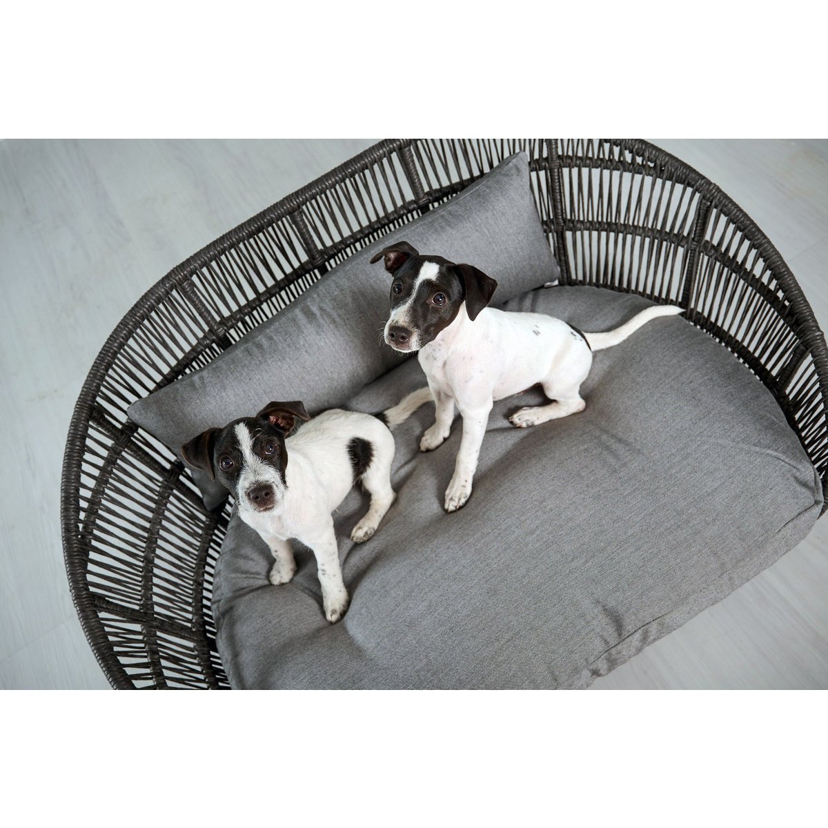 PRADO - Design - Hundebett SMOOTH - Tiny Paws Boutique