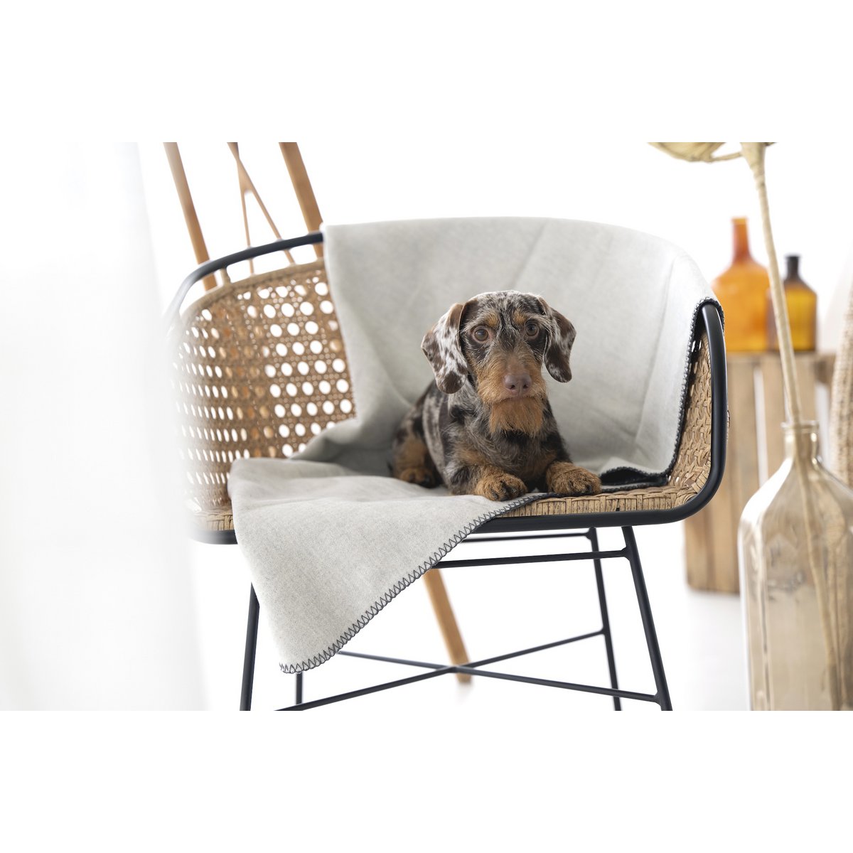 REVERSO – Stilvolle Wende - Decke für anspruchsvolle Vierbeiner - Tiny Paws Boutique