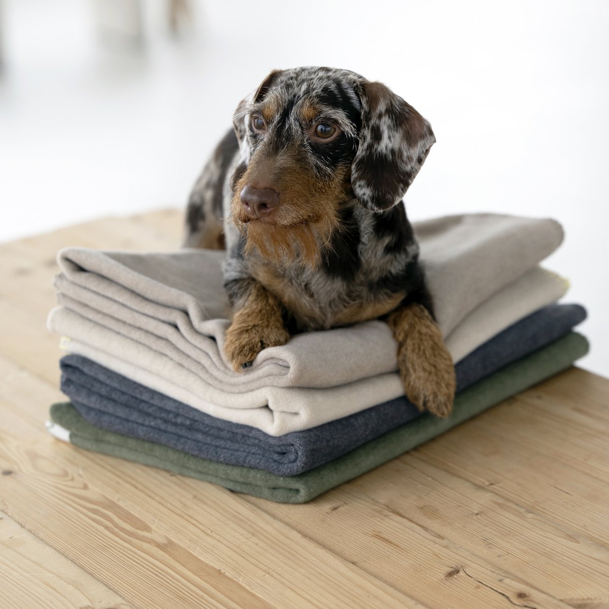 REVERSO – Stilvolle Wende - Decke für anspruchsvolle Vierbeiner - Tiny Paws Boutique