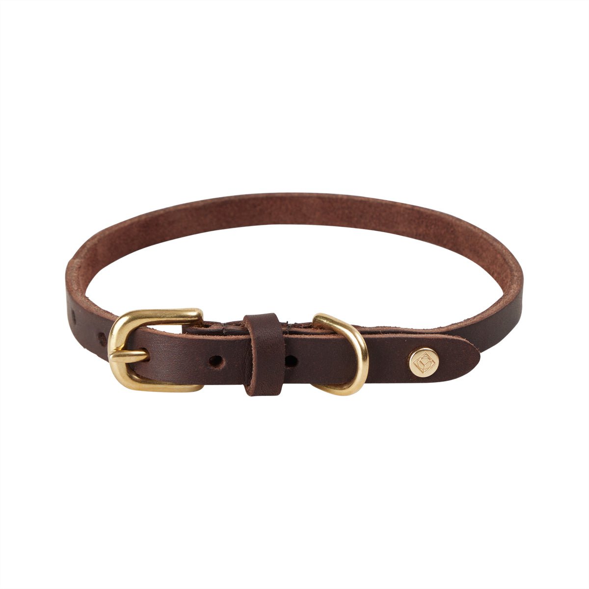 Robin - Hundehalsband – groß - Tiny Paws Boutique