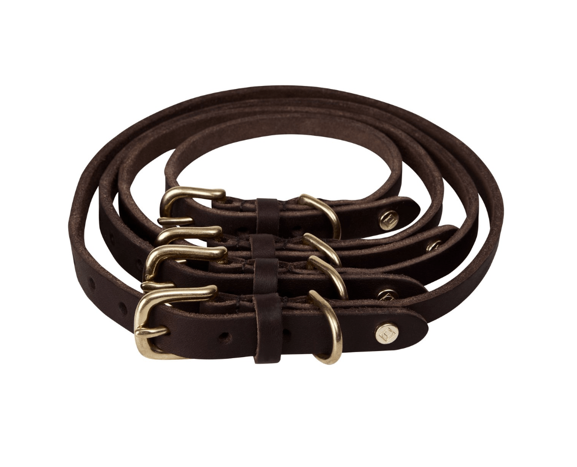 Robin Hundehalsband – Klein - Tiny Paws Boutique