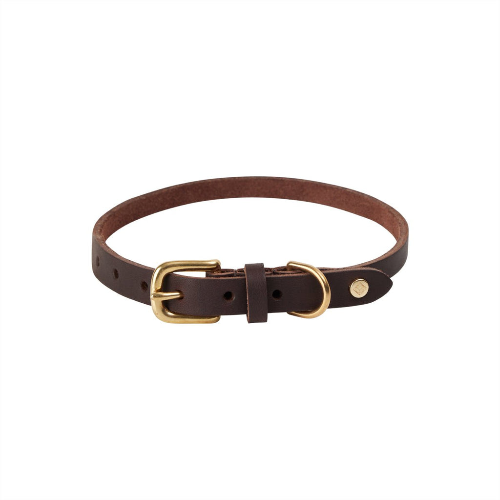 Robin - Hundehalsband – mittelgroß - Tiny Paws Boutique