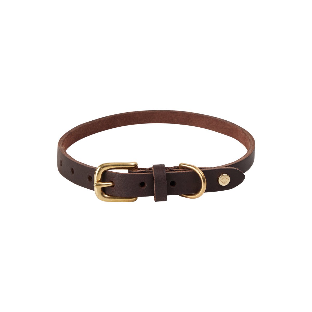 Robin - Hundehalsband – mittelgroß - Tiny Paws Boutique