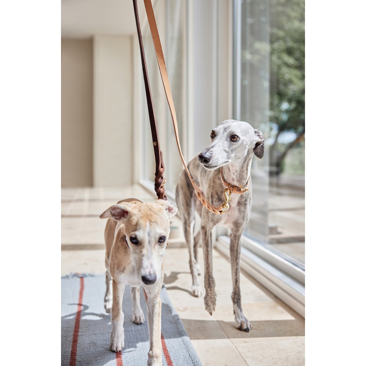 Robin Hundeleine – M/L - Tiny Paws Boutique