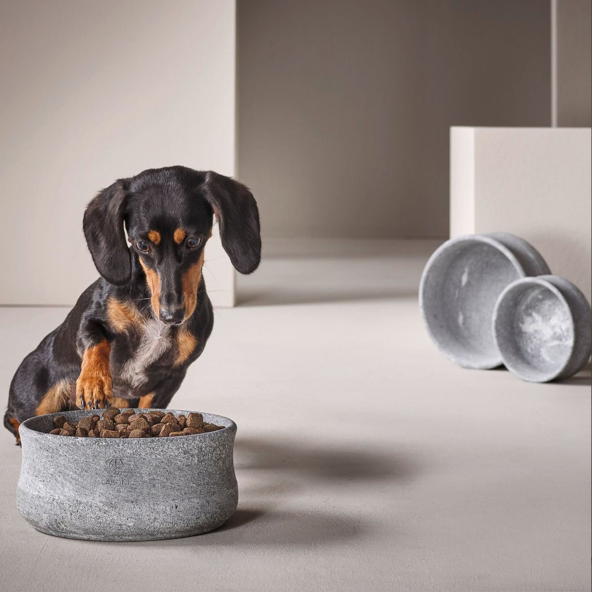 ROCKY - Edel - Napf für Hund und Katze - Tiny Paws Boutique