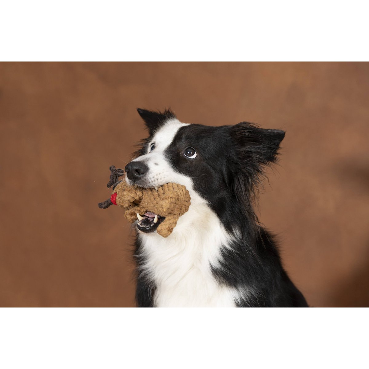 Rudi Rentier - Kult - Spielzeug für Hunde - Tiny Paws Boutique
