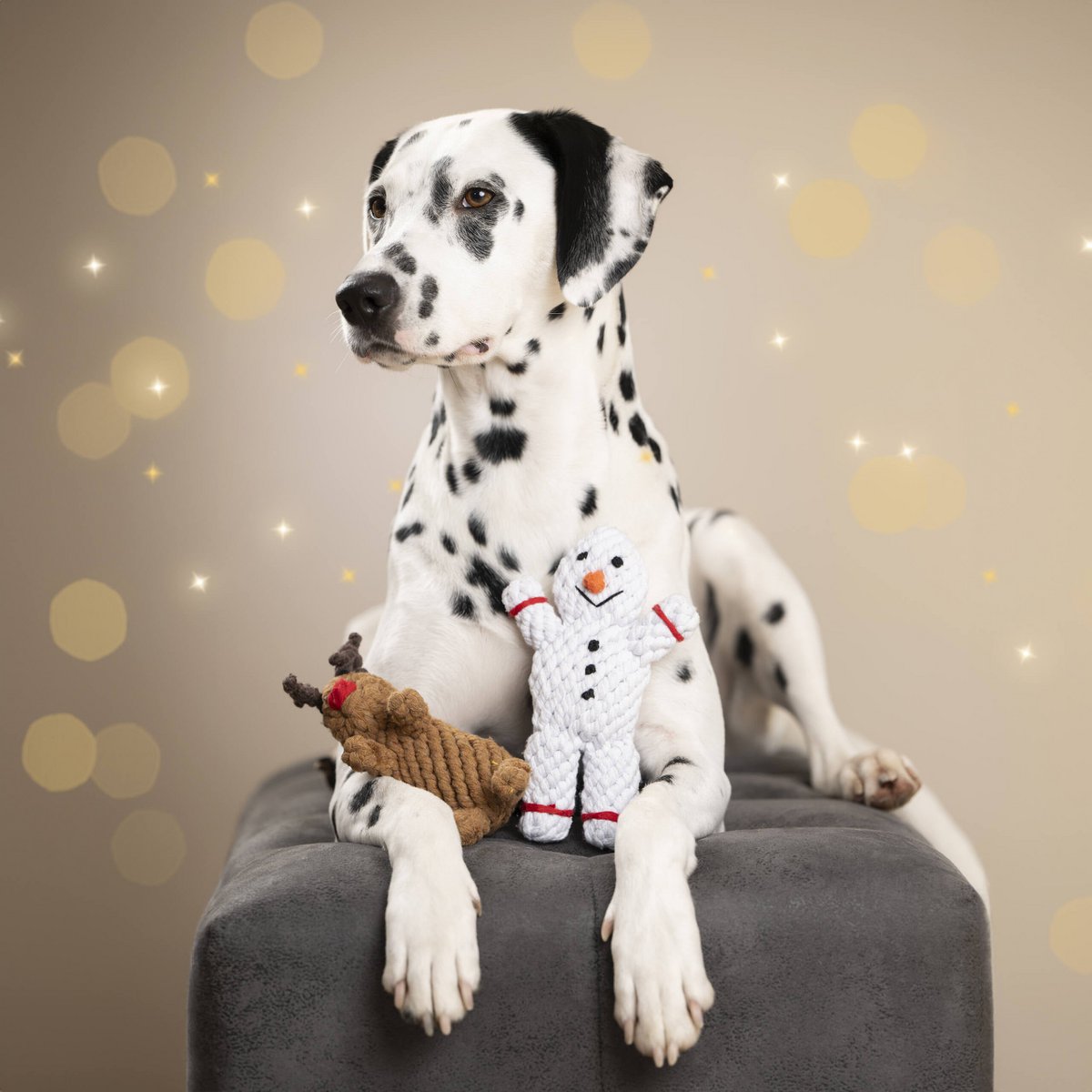 Rudi Rentier - Kult - Spielzeug für Hunde - Tiny Paws Boutique