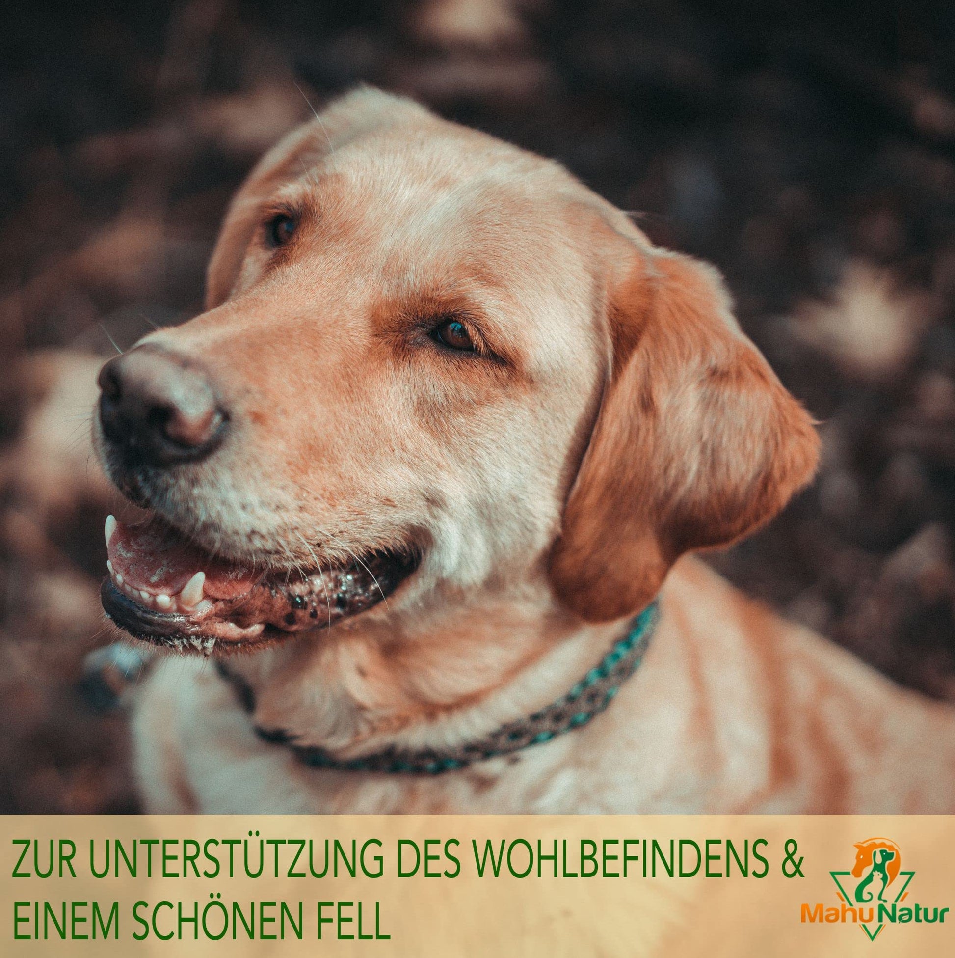Schwarzkümmel - Kokosöl für Hunde – Natürliches Öl zur Zeckenabwehr & Fellpflege - Tiny Paws Boutique