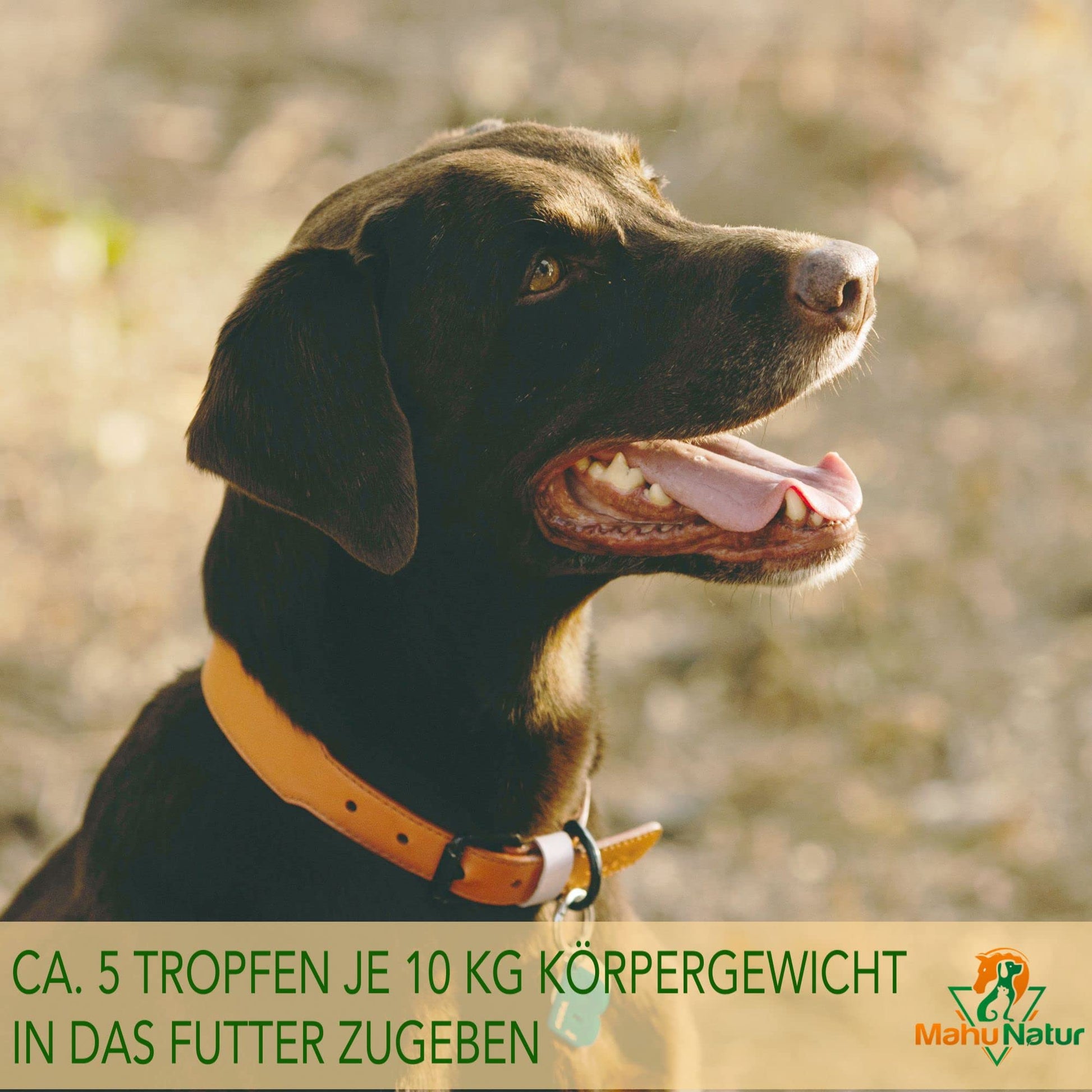 Schwarzkümmel - Kokosöl für Hunde – Natürliches Öl zur Zeckenabwehr & Fellpflege - Tiny Paws Boutique