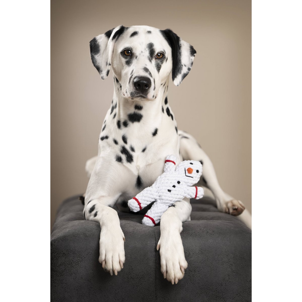 Shawn der Schneemann - Kult - Spielzeug für Hunde - Tiny Paws Boutique