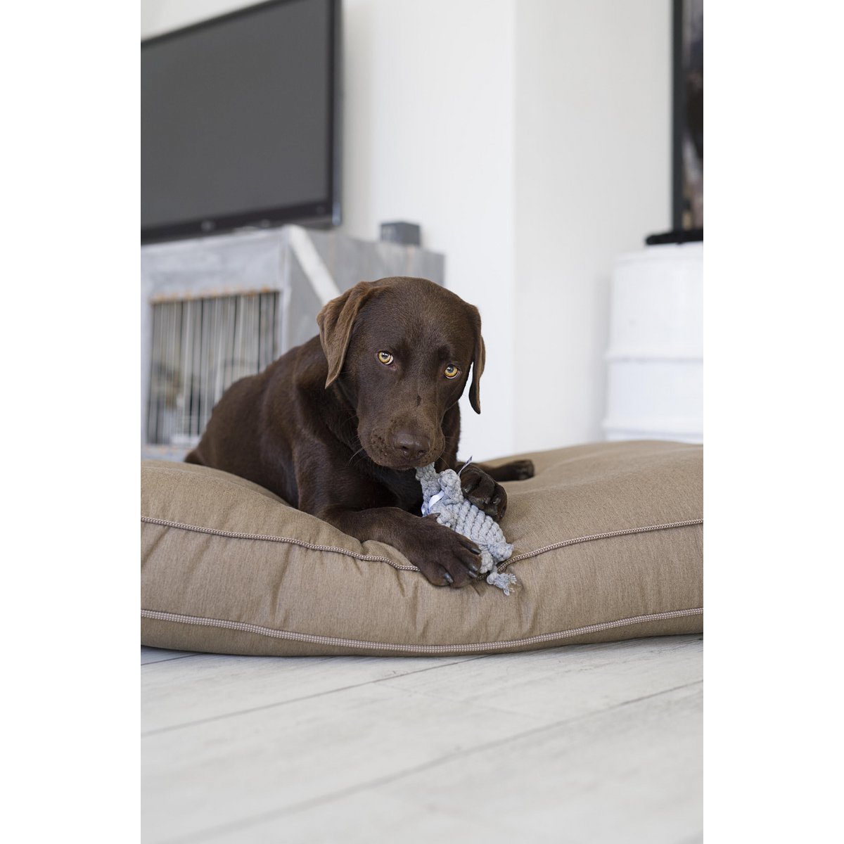 Summer Safari - Spielzeug - Set für Hunde - Tiny Paws Boutique