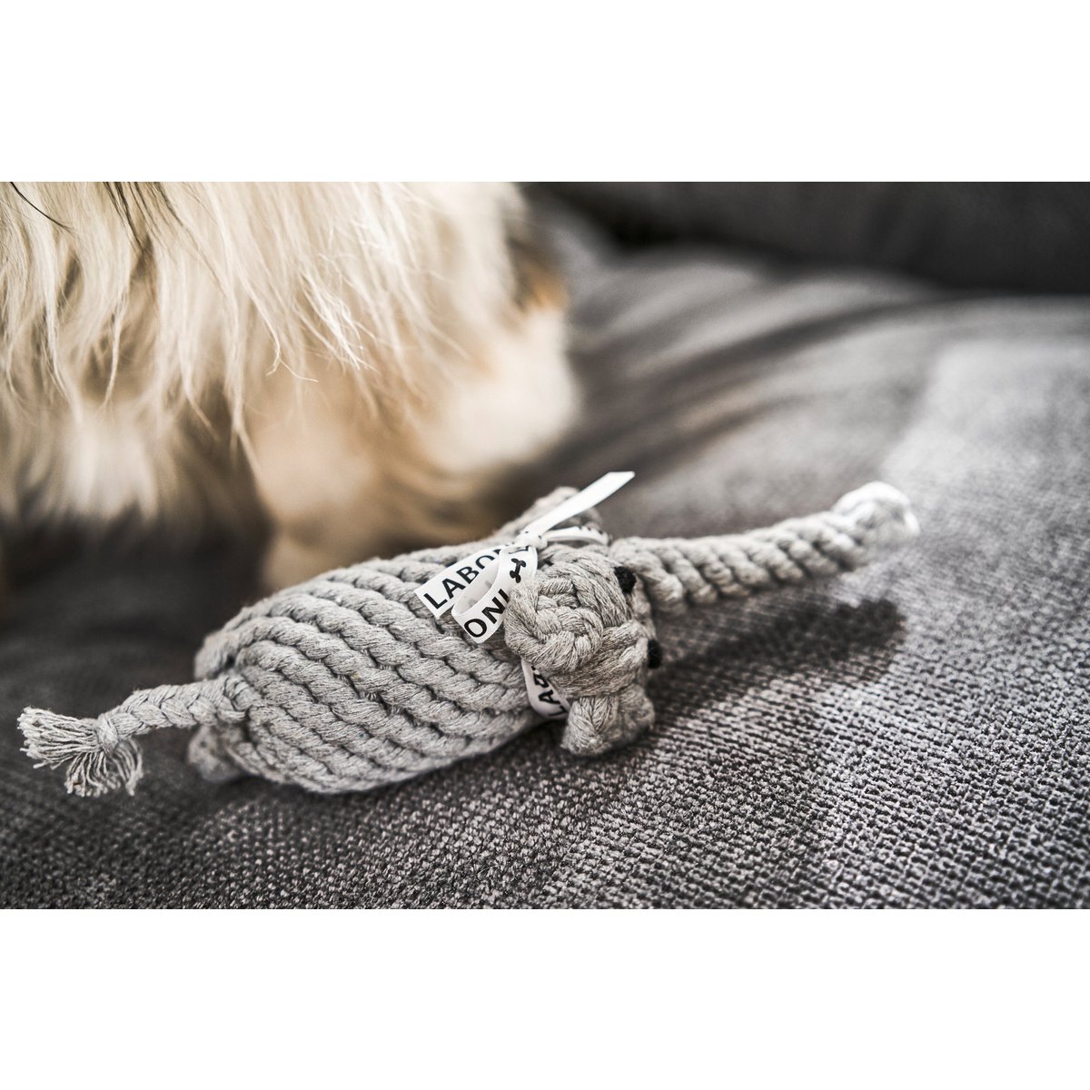 Summer Safari - Spielzeug - Set für Hunde - Tiny Paws Boutique