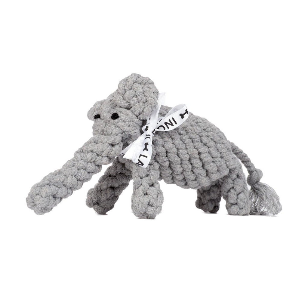 Summer Safari - Spielzeug - Set für Hunde - Tiny Paws Boutique