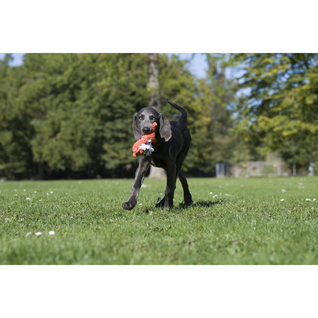 Timothy Tiger - Kult - Spielzeug für Hunde - Tiny Paws Boutique