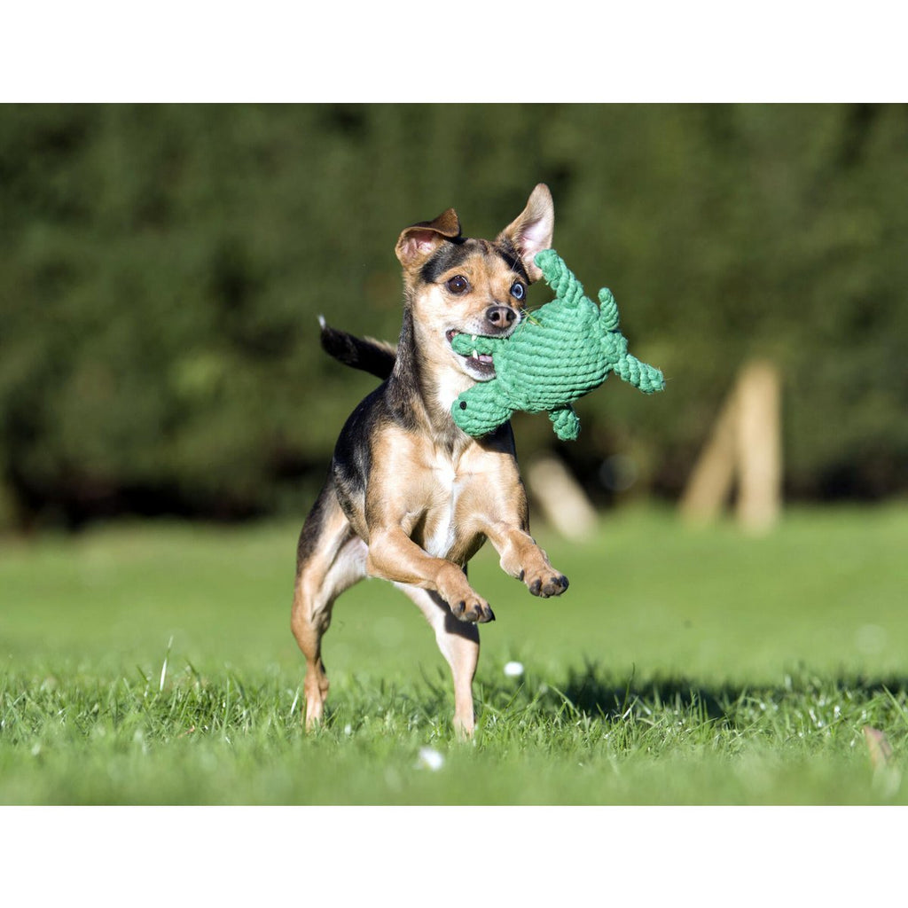 Tina Turtle - Kult - Spielzeug für Hunde - Tiny Paws Boutique