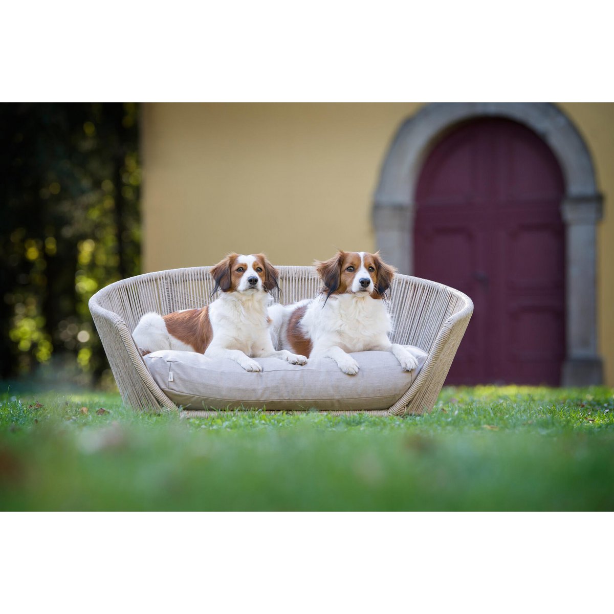 VOGUE - Design - Hundebett SMOOTH - Tiny Paws Boutique