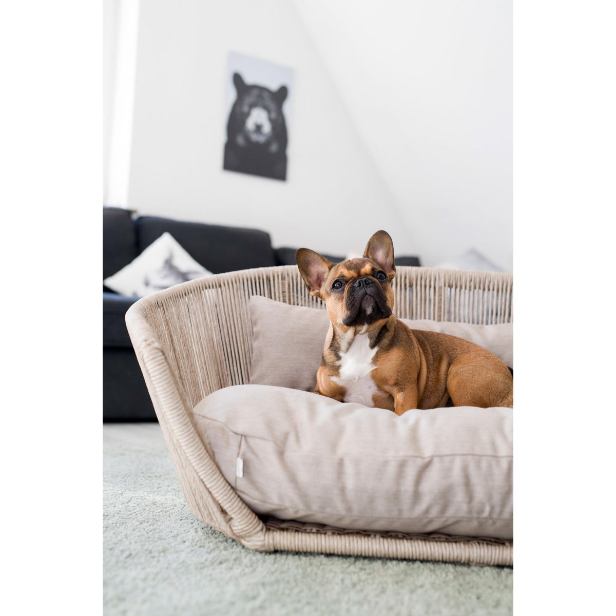 VOGUE - Design - Hundebett SMOOTH - Tiny Paws Boutique