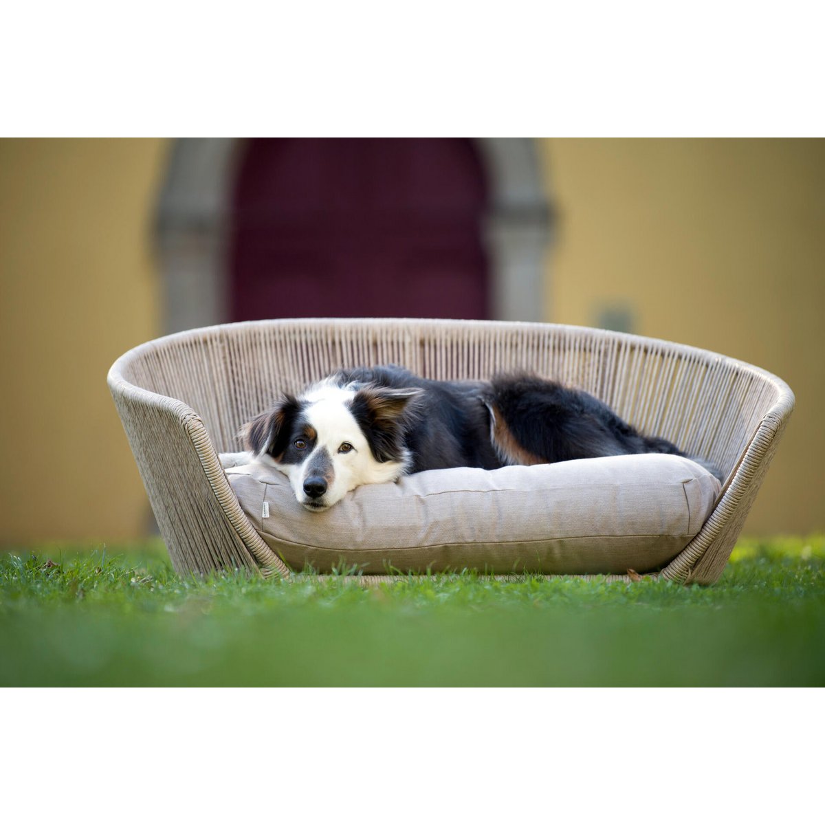 VOGUE - Design - Hundebett SMOOTH - Tiny Paws Boutique