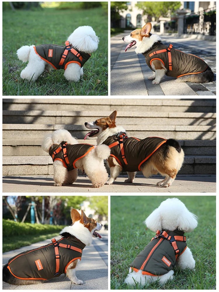 Wasserfeste Winterjacke - Tiny Paws Boutique