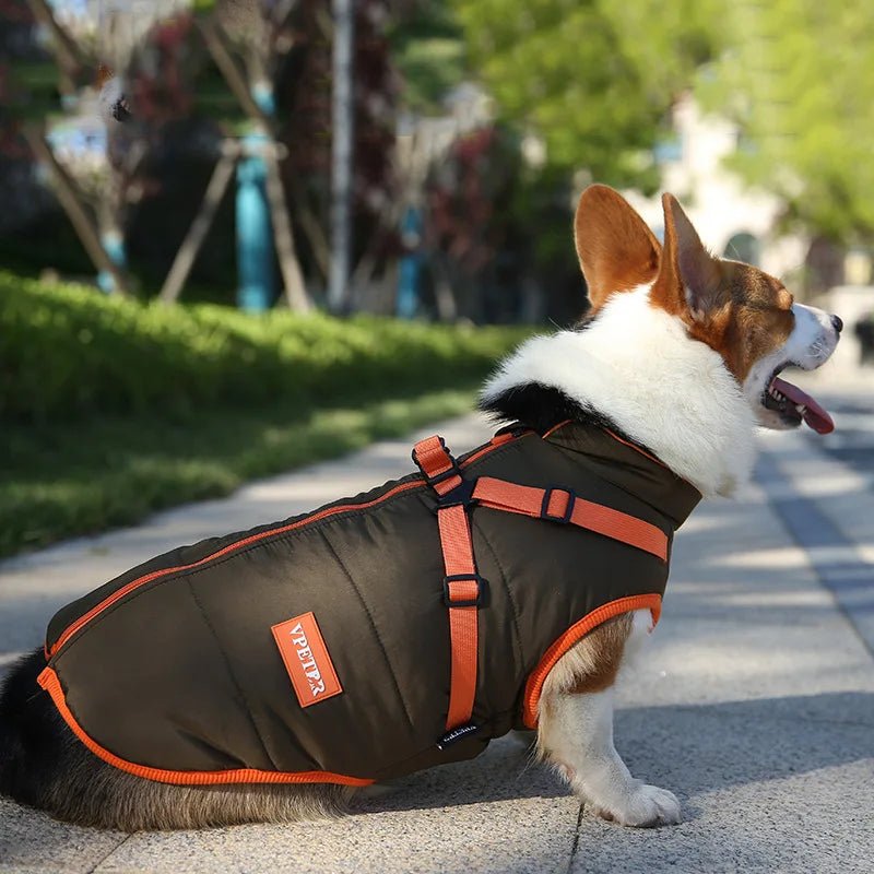 Wasserfeste Winterjacke - Tiny Paws Boutique