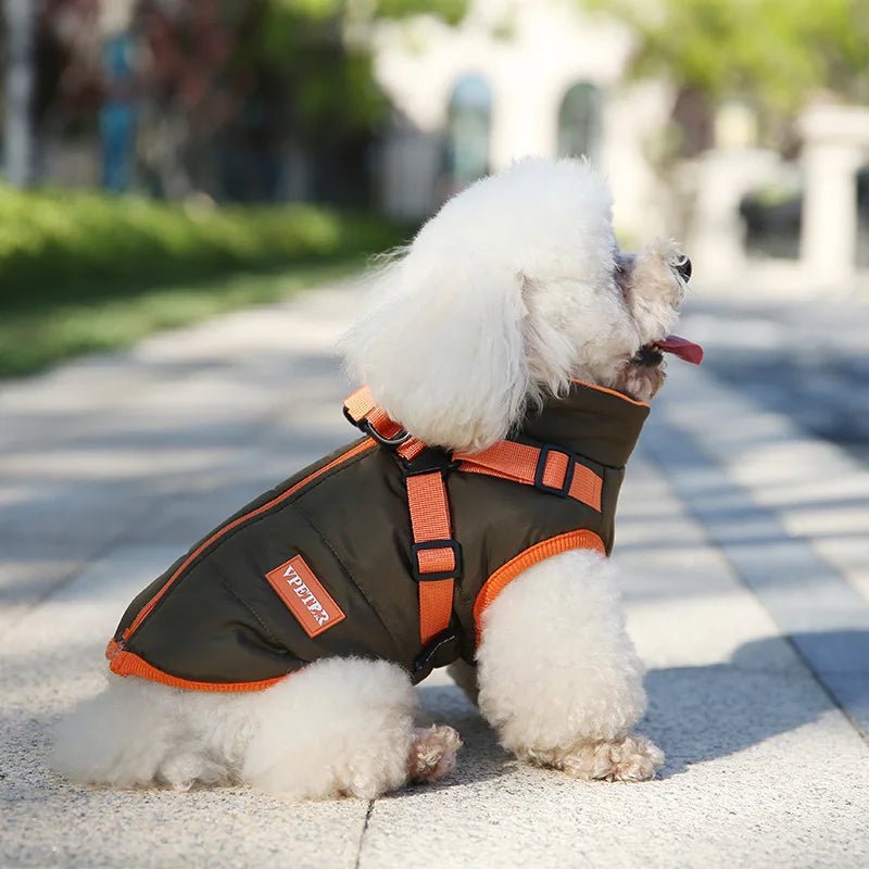Wasserfeste Winterjacke - Tiny Paws Boutique