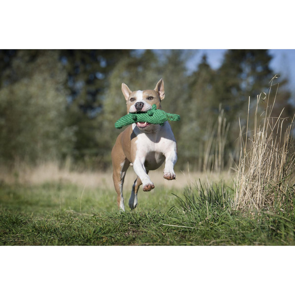 Wild Life - Spielzeug - Set für Hunde - Tiny Paws Boutique