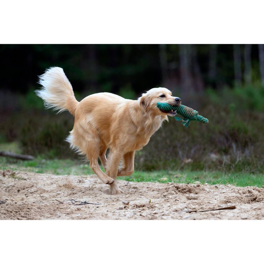 Wild Life - Spielzeug - Set für Hunde - Tiny Paws Boutique